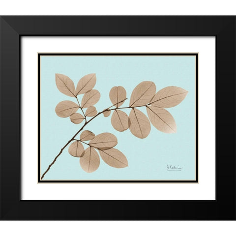 Myrtle Tree in Brown on Blue Black Modern Wood Framed Art Print with Double Matting by Koetsier, Albert