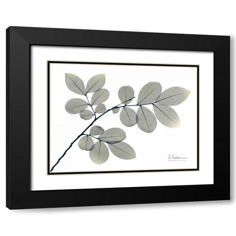 Myrtle Tree in Green Black Modern Wood Framed Art Print with Double Matting by Koetsier, Albert