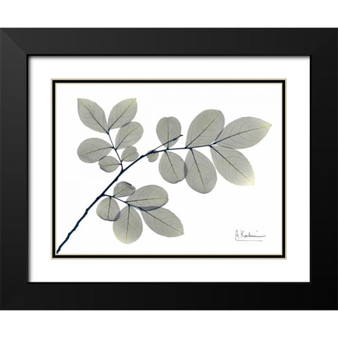 Myrtle Tree in Green Black Modern Wood Framed Art Print with Double Matting by Koetsier, Albert