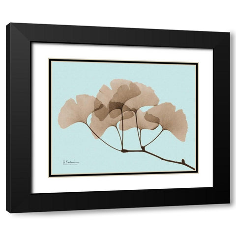 Gingko Leaves Brown on Blue Black Modern Wood Framed Art Print with Double Matting by Koetsier, Albert