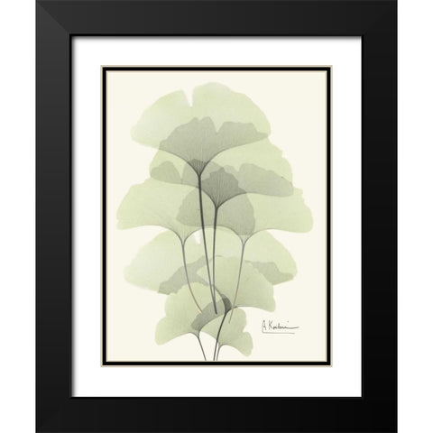 Gingko Leaves in Green 2 Black Modern Wood Framed Art Print with Double Matting by Koetsier, Albert