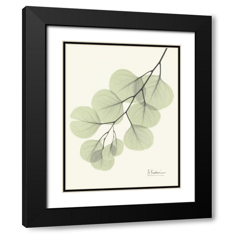 Eucalyptus Leaves in Green Black Modern Wood Framed Art Print with Double Matting by Koetsier, Albert