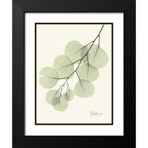 Eucalyptus Leaves in Green Black Modern Wood Framed Art Print with Double Matting by Koetsier, Albert