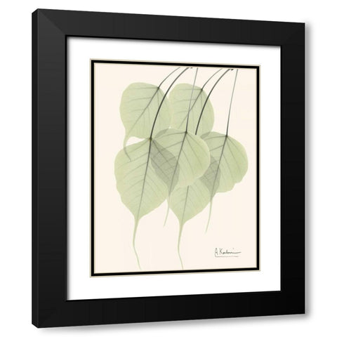 Bo Tree Leaves in Green Black Modern Wood Framed Art Print with Double Matting by Koetsier, Albert