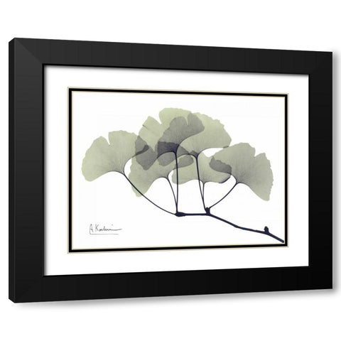 Gingko Leaves in Green Black Modern Wood Framed Art Print with Double Matting by Koetsier, Albert