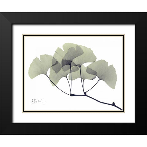 Gingko Leaves in Green Black Modern Wood Framed Art Print with Double Matting by Koetsier, Albert