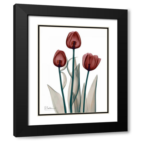 Early Tulips in Red Black Modern Wood Framed Art Print with Double Matting by Koetsier, Albert