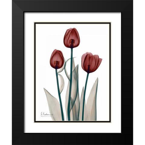 Early Tulips in Red Black Modern Wood Framed Art Print with Double Matting by Koetsier, Albert