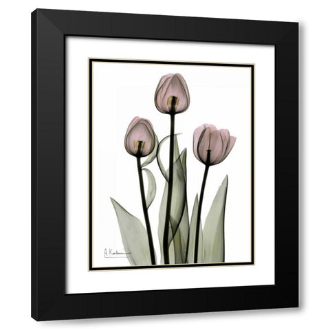 Early Tulips in Pink Black Modern Wood Framed Art Print with Double Matting by Koetsier, Albert