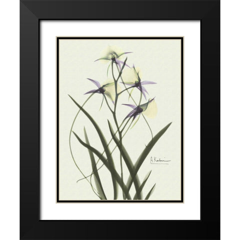 Orchids a Plenty in Purple on Beige Black Modern Wood Framed Art Print with Double Matting by Koetsier, Albert