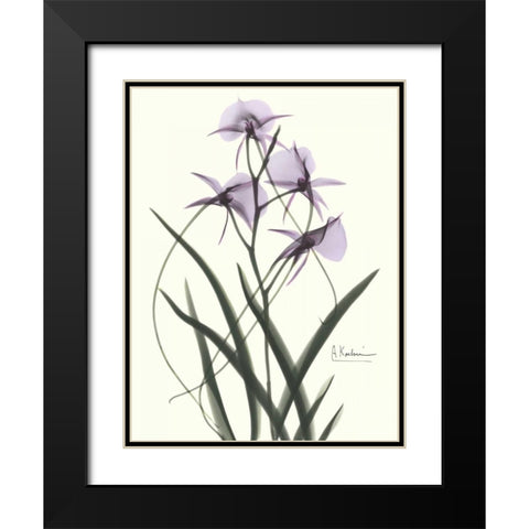 Orchids a Plenty in Purple Black Modern Wood Framed Art Print with Double Matting by Koetsier, Albert