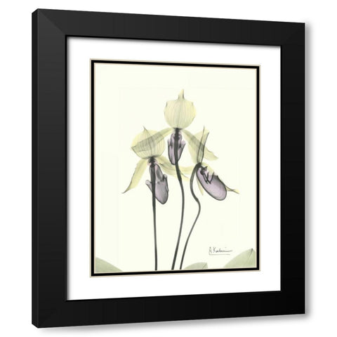 Lovely Orchids Black Modern Wood Framed Art Print with Double Matting by Koetsier, Albert