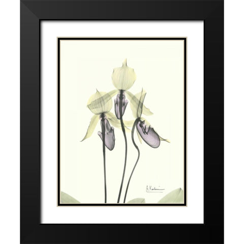 Lovely Orchids Black Modern Wood Framed Art Print with Double Matting by Koetsier, Albert