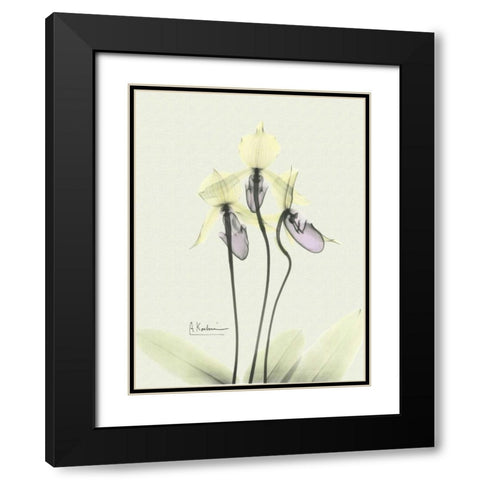 Lovely Orchids 3 Black Modern Wood Framed Art Print with Double Matting by Koetsier, Albert