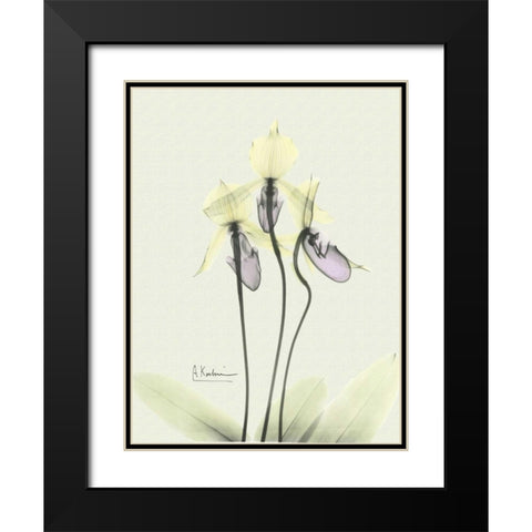 Lovely Orchids 3 Black Modern Wood Framed Art Print with Double Matting by Koetsier, Albert