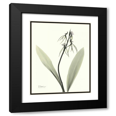 Single Orchid Black Modern Wood Framed Art Print with Double Matting by Koetsier, Albert