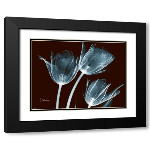 Tulips Blue on Red Black Modern Wood Framed Art Print with Double Matting by Koetsier, Albert