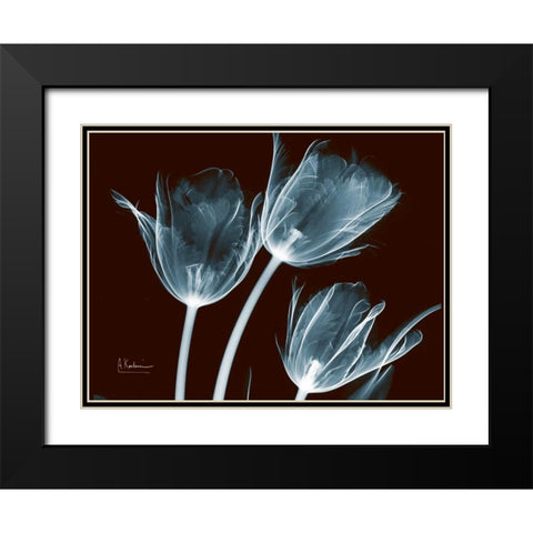 Tulips Blue on Red Black Modern Wood Framed Art Print with Double Matting by Koetsier, Albert