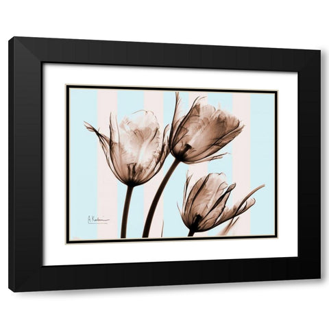 Tulips Brown on Blue Black Modern Wood Framed Art Print with Double Matting by Koetsier, Albert