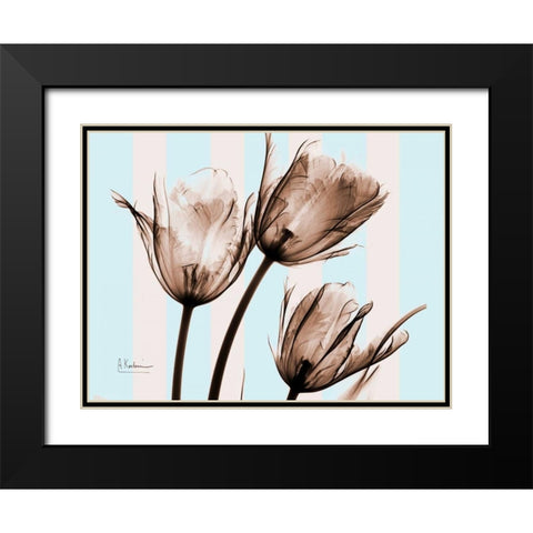 Tulips Brown on Blue Black Modern Wood Framed Art Print with Double Matting by Koetsier, Albert