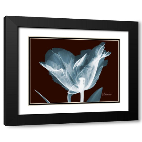 Single Tulip Blue on Red Black Modern Wood Framed Art Print with Double Matting by Koetsier, Albert