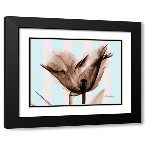 Single Tulip Brown on Blue Black Modern Wood Framed Art Print with Double Matting by Koetsier, Albert