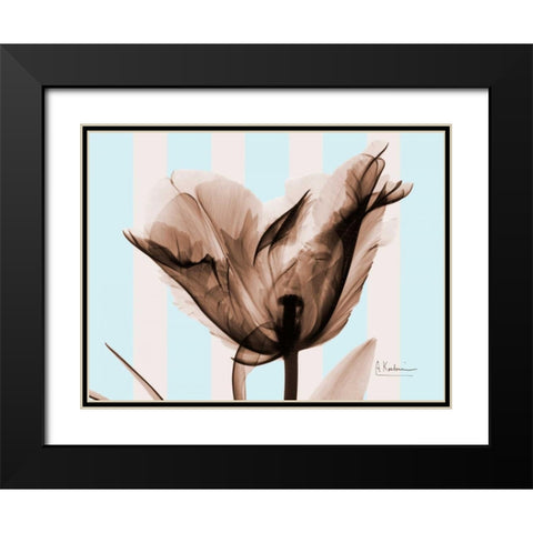 Single Tulip Brown on Blue Black Modern Wood Framed Art Print with Double Matting by Koetsier, Albert