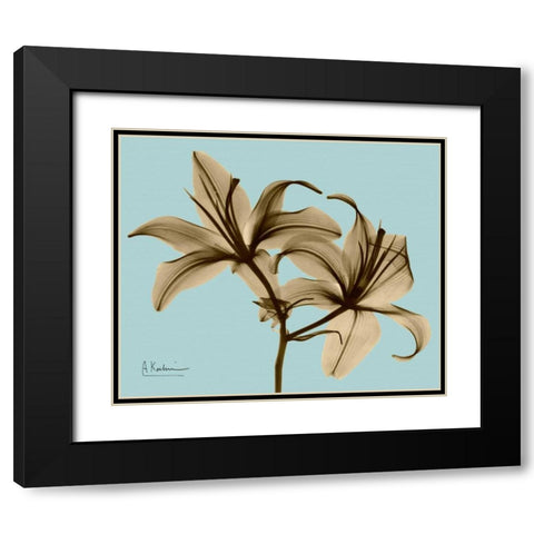 Double Lilies Brown on Blue Black Modern Wood Framed Art Print with Double Matting by Koetsier, Albert