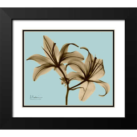 Double Lilies Brown on Blue Black Modern Wood Framed Art Print with Double Matting by Koetsier, Albert