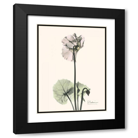 Single Cyclamen Black Modern Wood Framed Art Print with Double Matting by Koetsier, Albert