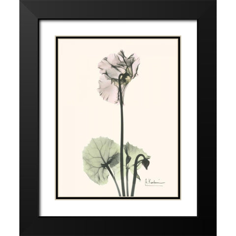 Single Cyclamen Black Modern Wood Framed Art Print with Double Matting by Koetsier, Albert