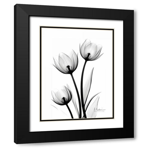 Tulips High Contrast Black Modern Wood Framed Art Print with Double Matting by Koetsier, Albert