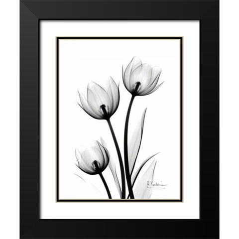 Tulips High Contrast Black Modern Wood Framed Art Print with Double Matting by Koetsier, Albert