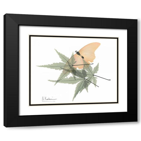 Gentle Explosion of Spring Black Modern Wood Framed Art Print with Double Matting by Koetsier, Albert