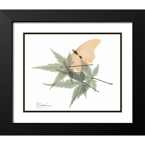 Gentle Explosion of Spring Black Modern Wood Framed Art Print with Double Matting by Koetsier, Albert