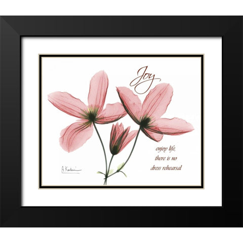 Clematis - Joy Black Modern Wood Framed Art Print with Double Matting by Koetsier, Albert