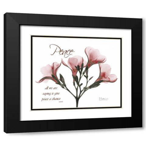 Oleander - Peace Black Modern Wood Framed Art Print with Double Matting by Koetsier, Albert