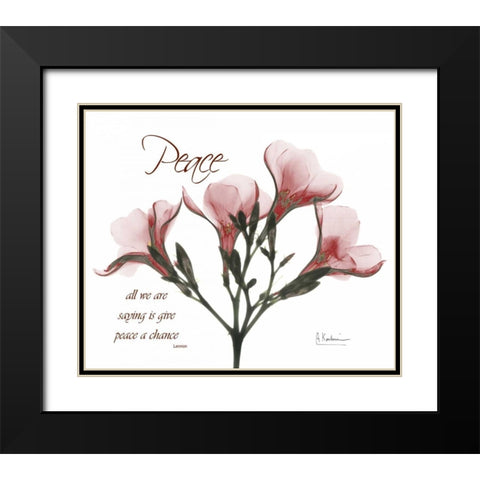 Oleander - Peace Black Modern Wood Framed Art Print with Double Matting by Koetsier, Albert