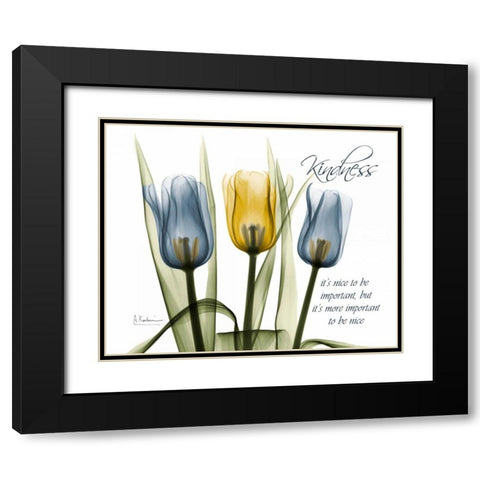 Tulip - Kindness Black Modern Wood Framed Art Print with Double Matting by Koetsier, Albert