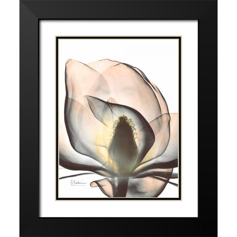 Magnolia Close Up Black Modern Wood Framed Art Print with Double Matting by Koetsier, Albert