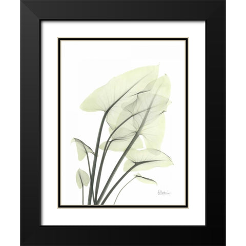 Calla Leaf In Green Black Modern Wood Framed Art Print with Double Matting by Koetsier, Albert