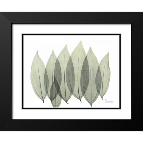 Coculus Leaf In Green Black Modern Wood Framed Art Print with Double Matting by Koetsier, Albert