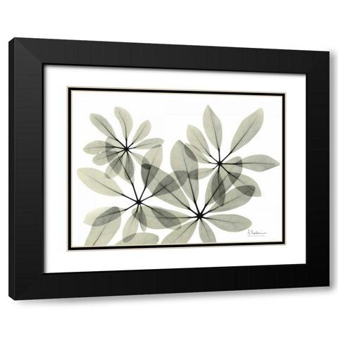 Scheffleur in Green Black Modern Wood Framed Art Print with Double Matting by Koetsier, Albert