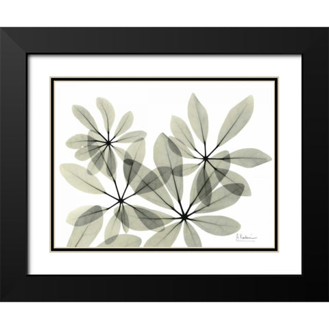 Scheffleur in Green Black Modern Wood Framed Art Print with Double Matting by Koetsier, Albert