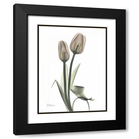 Tulip - Marjorie Black Modern Wood Framed Art Print with Double Matting by Koetsier, Albert