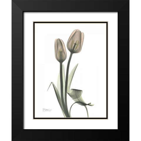 Tulip - Marjorie Black Modern Wood Framed Art Print with Double Matting by Koetsier, Albert