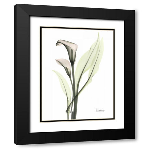 Calla - Marjorie Black Modern Wood Framed Art Print with Double Matting by Koetsier, Albert