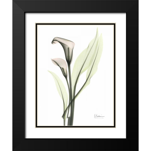 Calla - Marjorie Black Modern Wood Framed Art Print with Double Matting by Koetsier, Albert