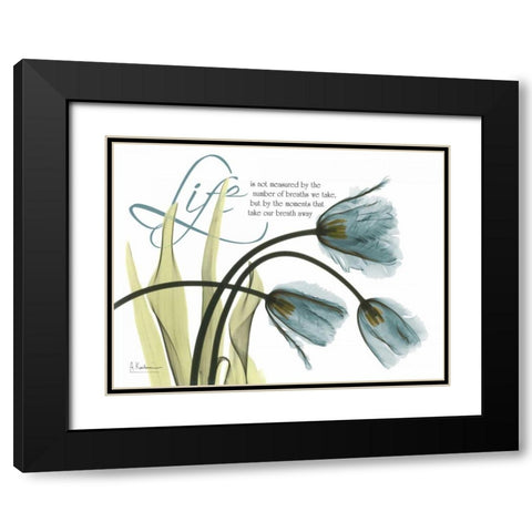 Life Tulips Black Modern Wood Framed Art Print with Double Matting by Koetsier, Albert