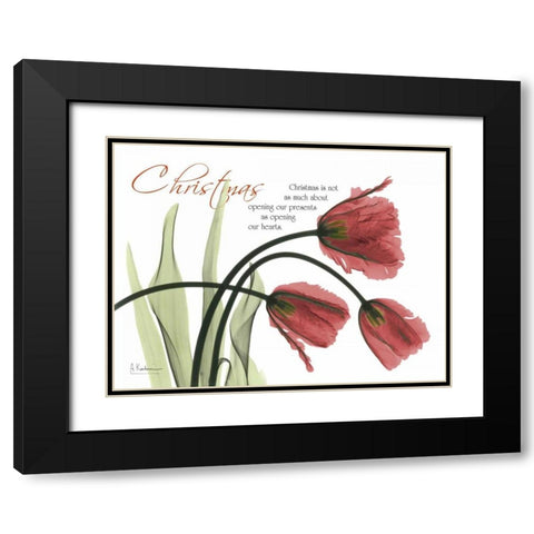 Christmas Tulips Black Modern Wood Framed Art Print with Double Matting by Koetsier, Albert